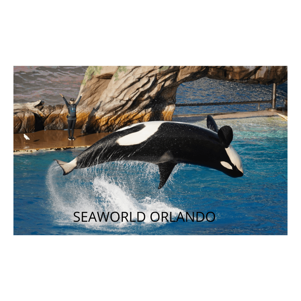 SeaWorld Orlando Florida