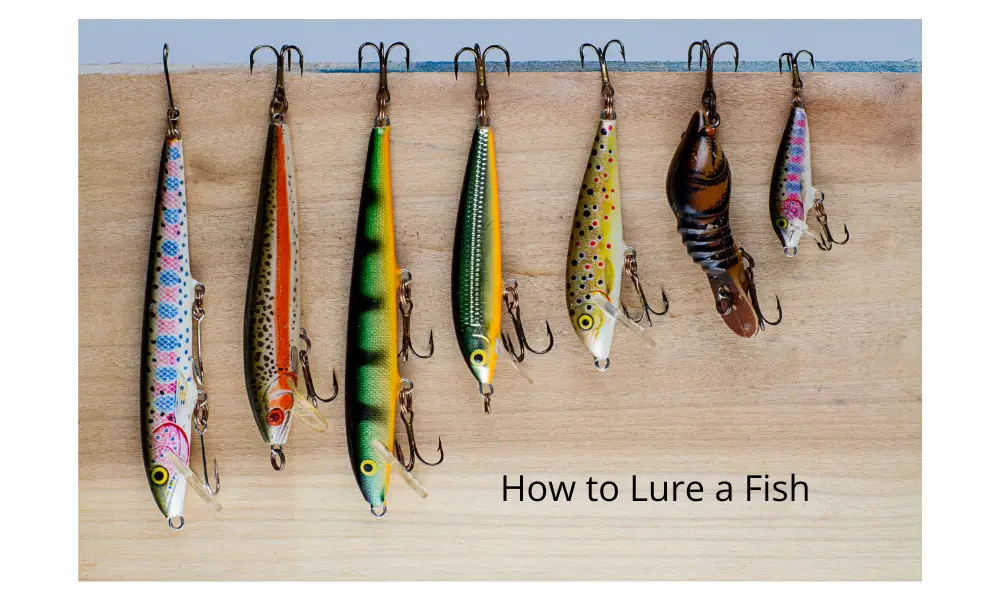 Fishing Lures
