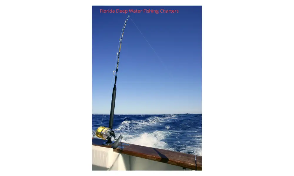 Offshore Fishing