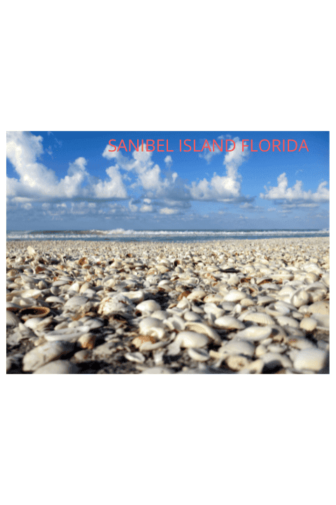 Fort Myers beach attractions