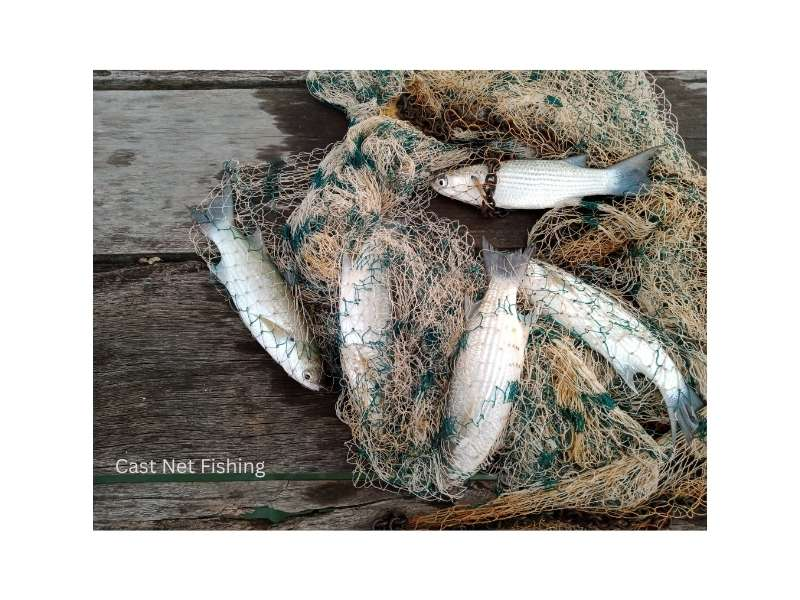 The Florida Fishing report 2026