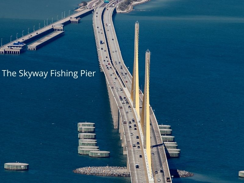 Sunshine Skyway Fishi