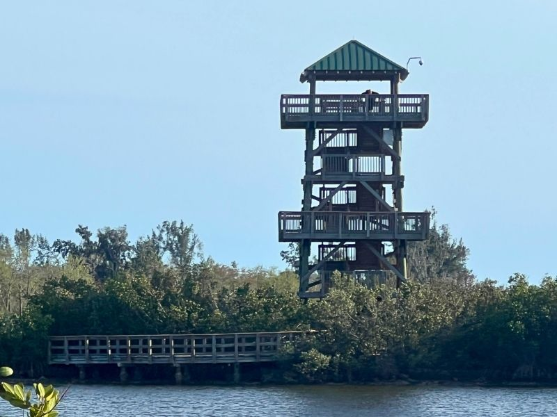 Ultimate guide to Manatee county Robinson Preserve