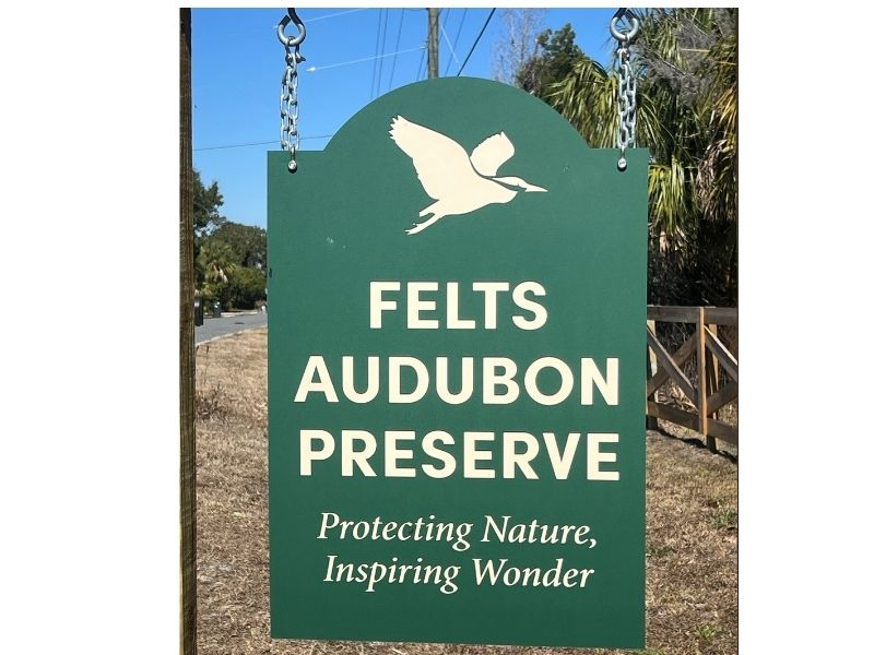 ultimate guide to Felts Audobon