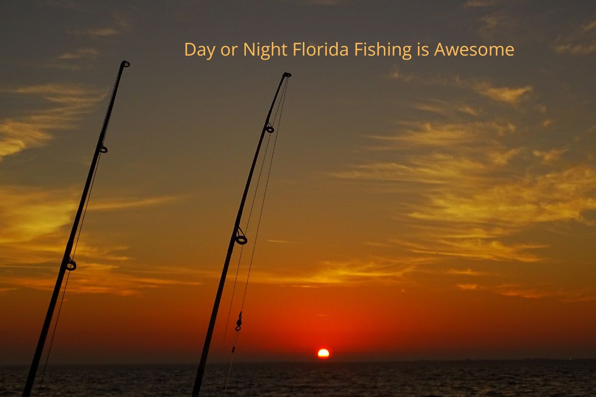 Day or Night Fishing i Florida's Fun