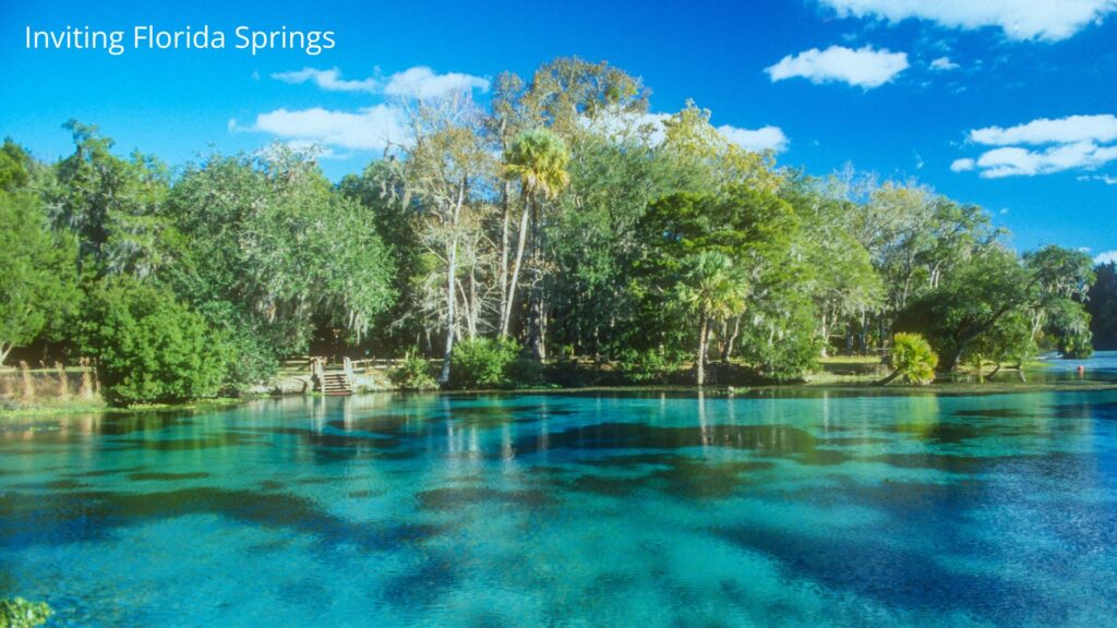 Swimming in Florida springs are one of the things to do in Orange county Florida