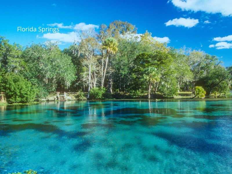 Florida springs