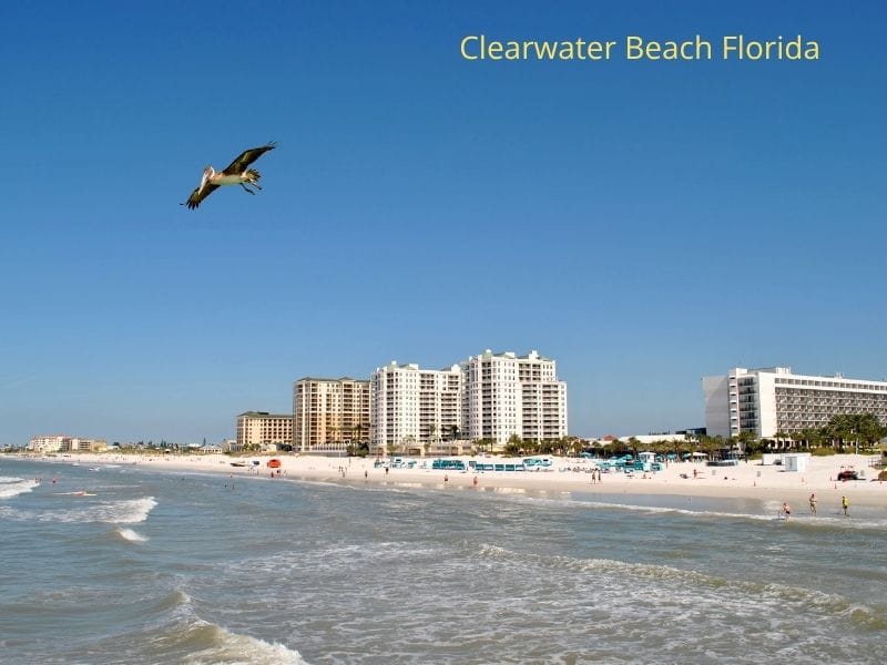 Clearwater Beach Florida