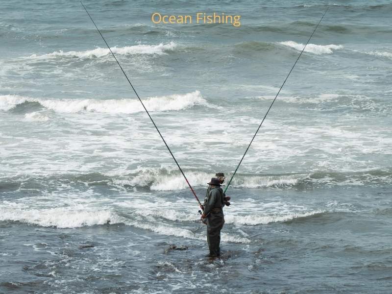 Ocean Fishing on the Atlantic side of Florida