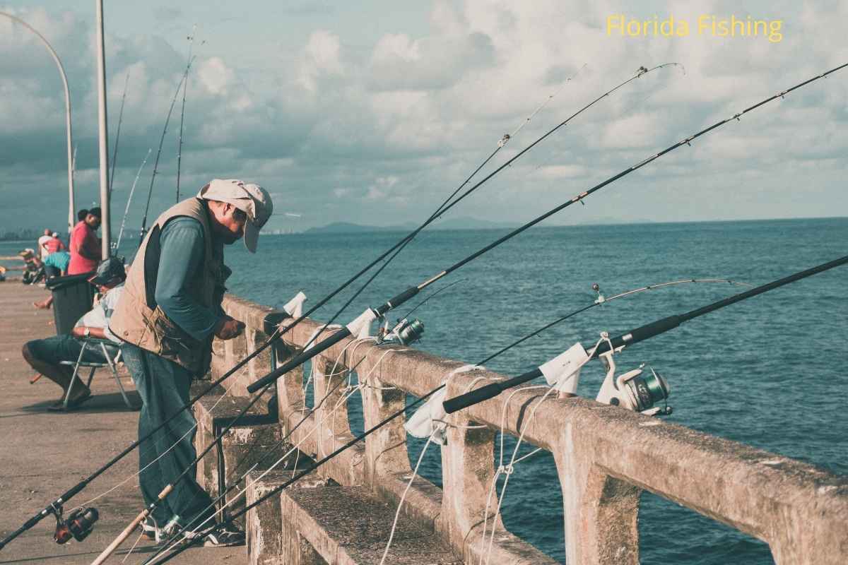 Florida Fishing Quarterly Report (July, August & September 2026): The Ultimate Summer Fishing Guide from Jacksonville to Naples, the Panhandle to the Florida Keys