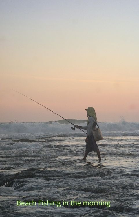 Florida fishing guide summer beaches early in the morning