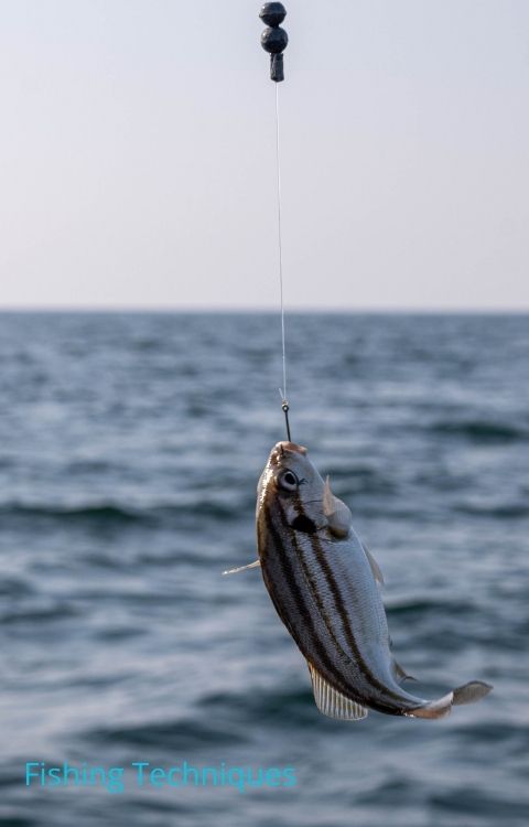 Florida fishing guide techniques