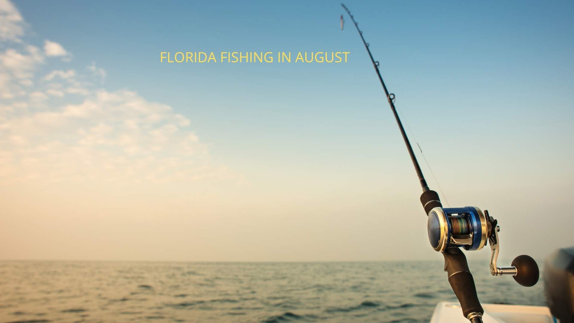 Florida August Fishing Guide 2026: The Ultimate Late Summer Fishing Report from the Panhandle to the Florida Keys
