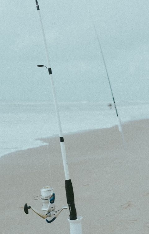 Beach fishing in Florida