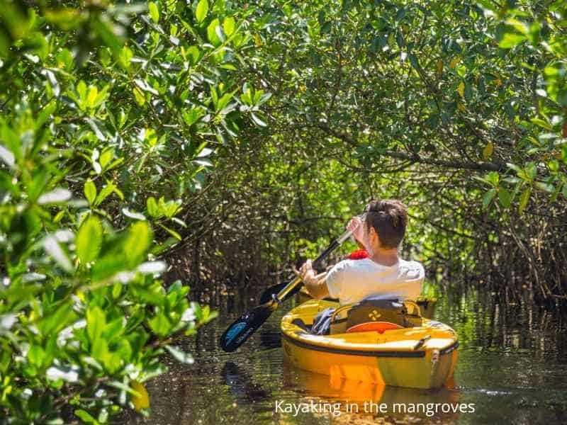 Kayak fishing Florida