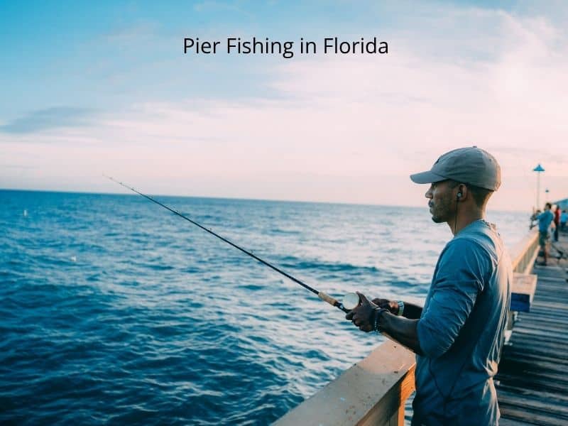 Pier fishing in Florida is fun