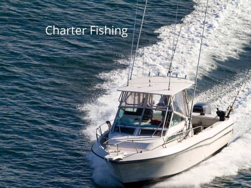 Charter fishing in Florida